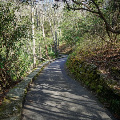 Peaceful paved trail