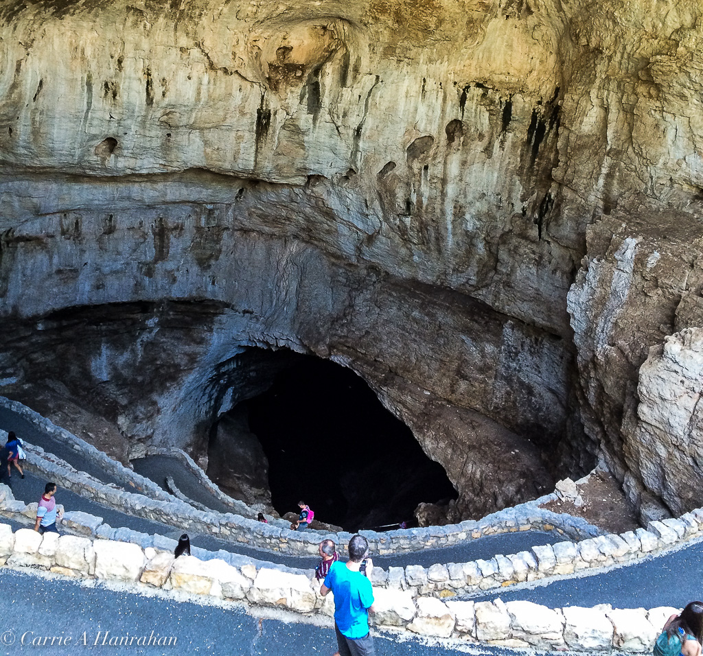 Guadalupe Mts and Carlsbad Caverns-26