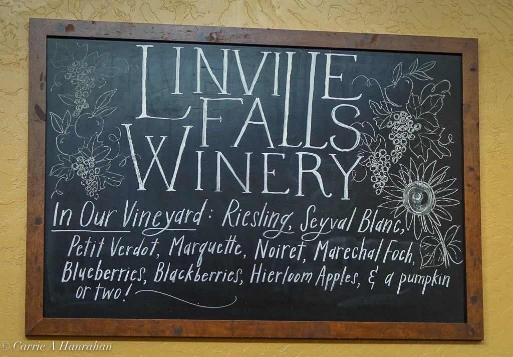 Linville Falls Winery-19